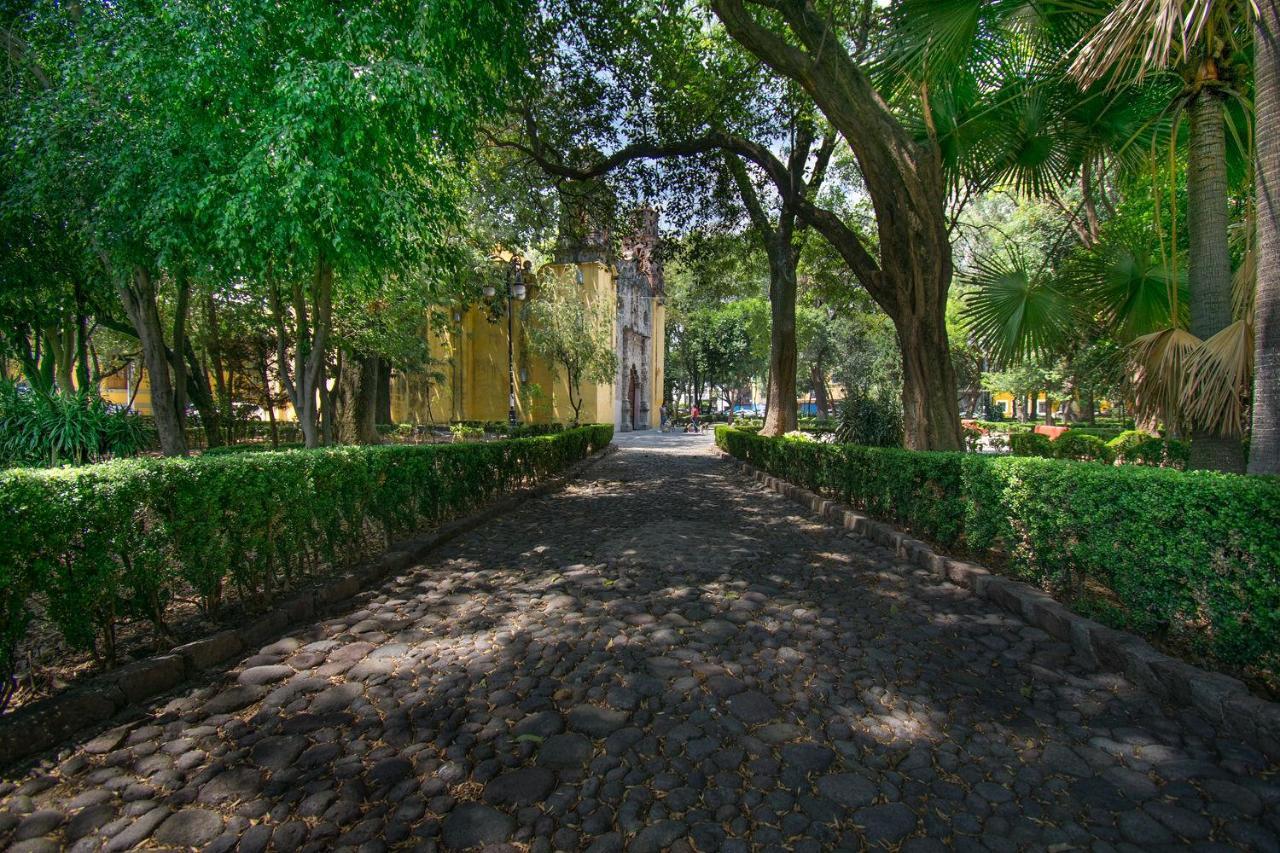 Fl 59 Coyoacan At Your Doorstep! Lägenhet Mexico City Exteriör bild
