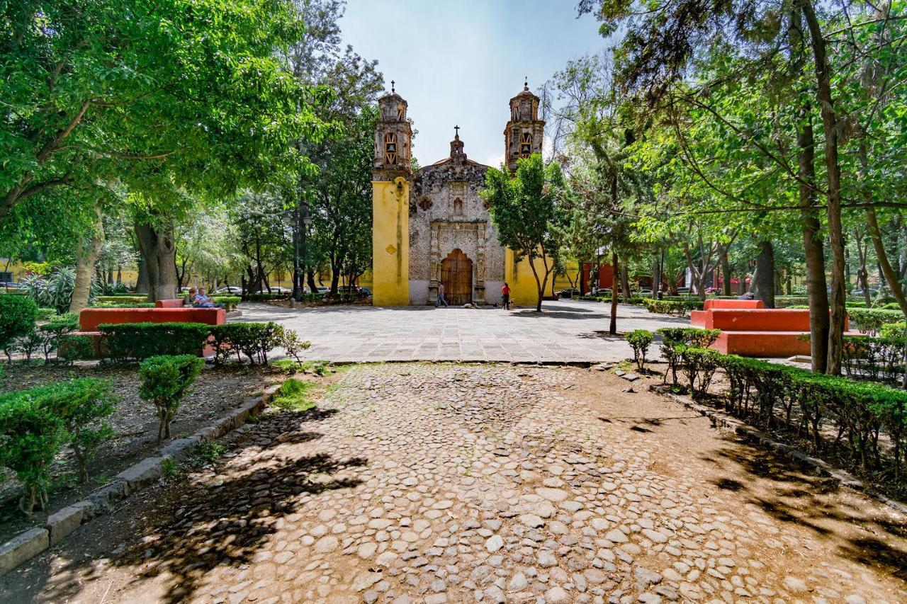 Fl 59 Coyoacan At Your Doorstep! Lägenhet Mexico City Exteriör bild
