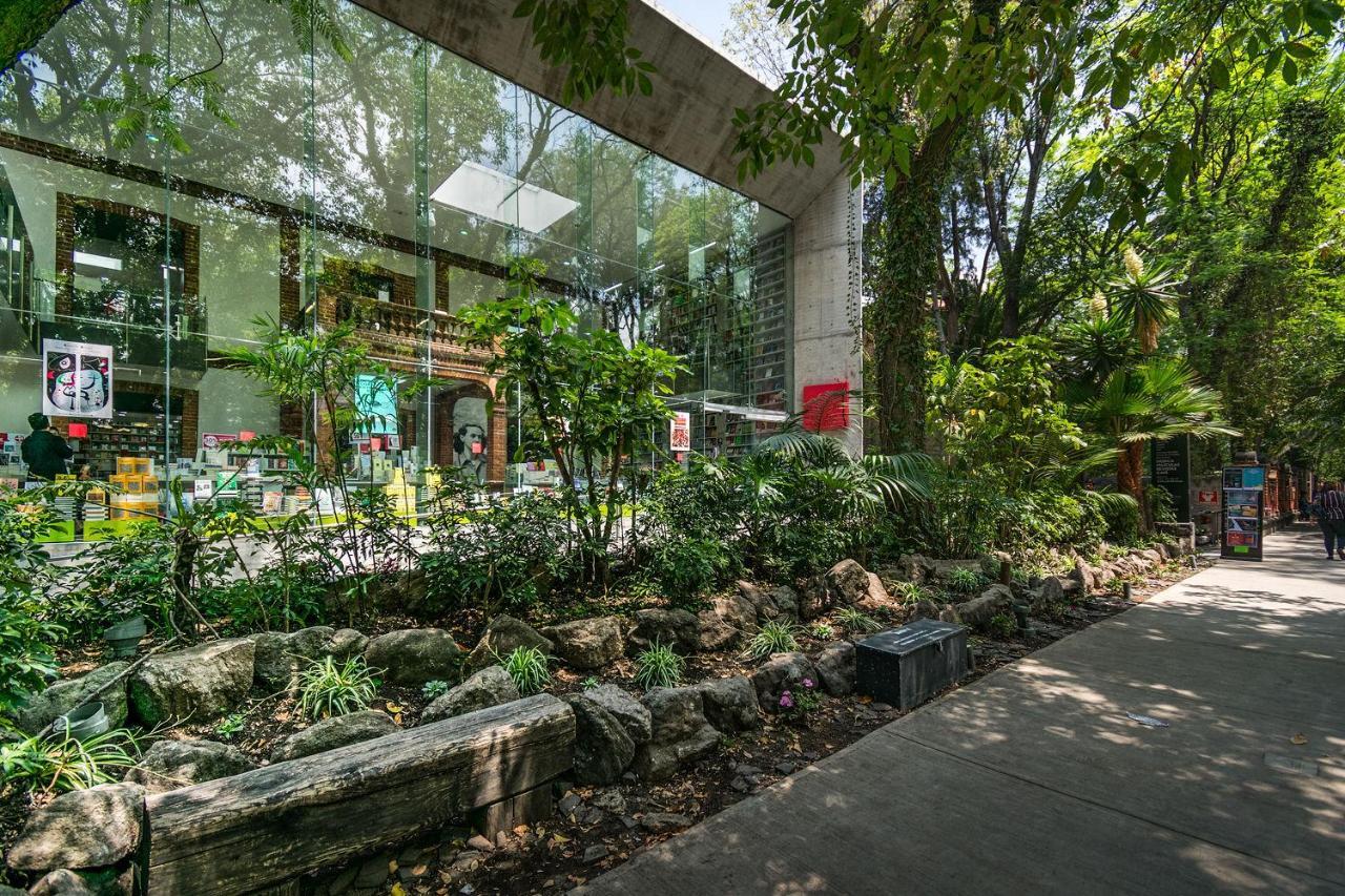 Fl 59 Coyoacan At Your Doorstep! Lägenhet Mexico City Exteriör bild
