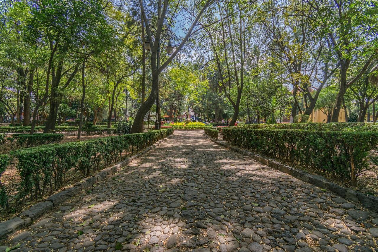 Fl 59 Coyoacan At Your Doorstep! Lägenhet Mexico City Exteriör bild